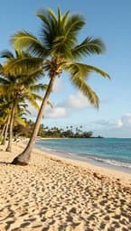 Island Time