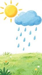 Rainy Sun