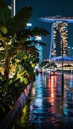 Neon Rain in Singapore