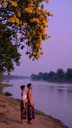 Jackfruit Shore