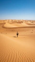 Desert Whispers