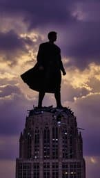The Hero's Shadow