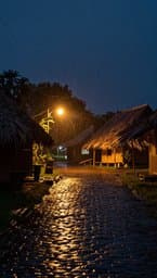 Rainy Nights in the Province