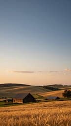 Golden Fields