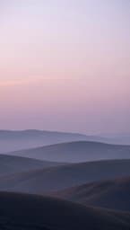 Soft Horizons