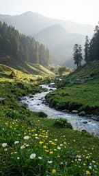 Home of Kashmir