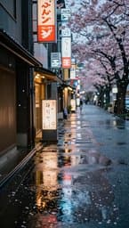 Tokyo Rainy Afternoon