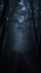 Shadows Bleed