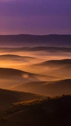 Dusk to Night