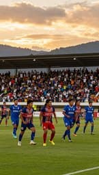 Jaguares del Perijá
