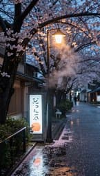 Tokyo Rainy Afternoon