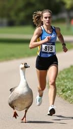 Kiera and the Goose