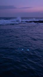 Primordial Waves