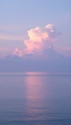 Dreamland Reverie