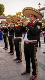 Jalisco Pulse