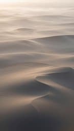 Textural Echoes