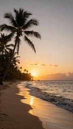 Island Breeze