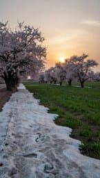 When The Spring Comes