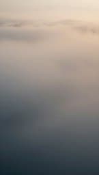 Silent Echoes