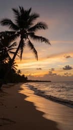 Island Rhythm