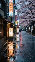 Tokyo Rainy Afternoon