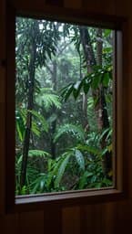 Verdant Rain