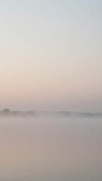 Stillness