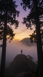 Shadows of Hope