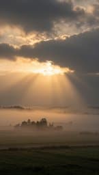 Divine Restoration