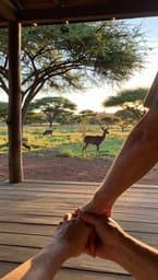 Marloth Park se Kudu en die Ou Huis