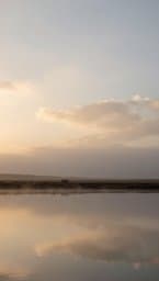 Still Water