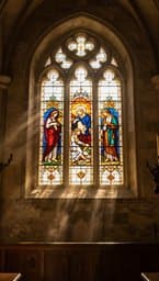 Nascido de Amor