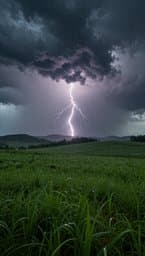 Weather Fronts