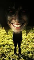 Smiling Shadows