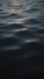 Glass Horizon
