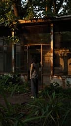 Stranded Zoo