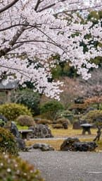 Zen Moments