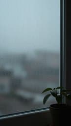 Rainy Day Flow