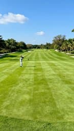 Golf Day Blues