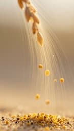 Grain of Sand
