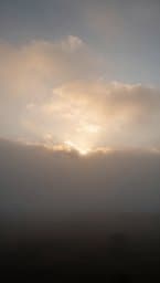 Echoes of F# Minor