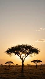 Gentle Savannah Breeze