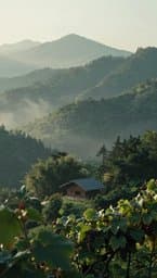 Green Mountains Lullaby