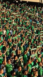 Verde Vibra