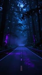 Night Drift