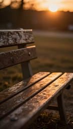 Honey Bench