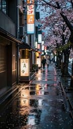 Tokyo Rainy Afternoon