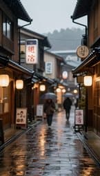 Tokyo Rainy Afternoon