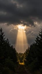Jesus mein Licht