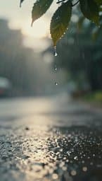 Lluvia y Viento